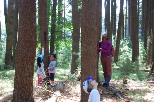 shinrin-yoko or forest bathing - campers and counselors taking time in nature