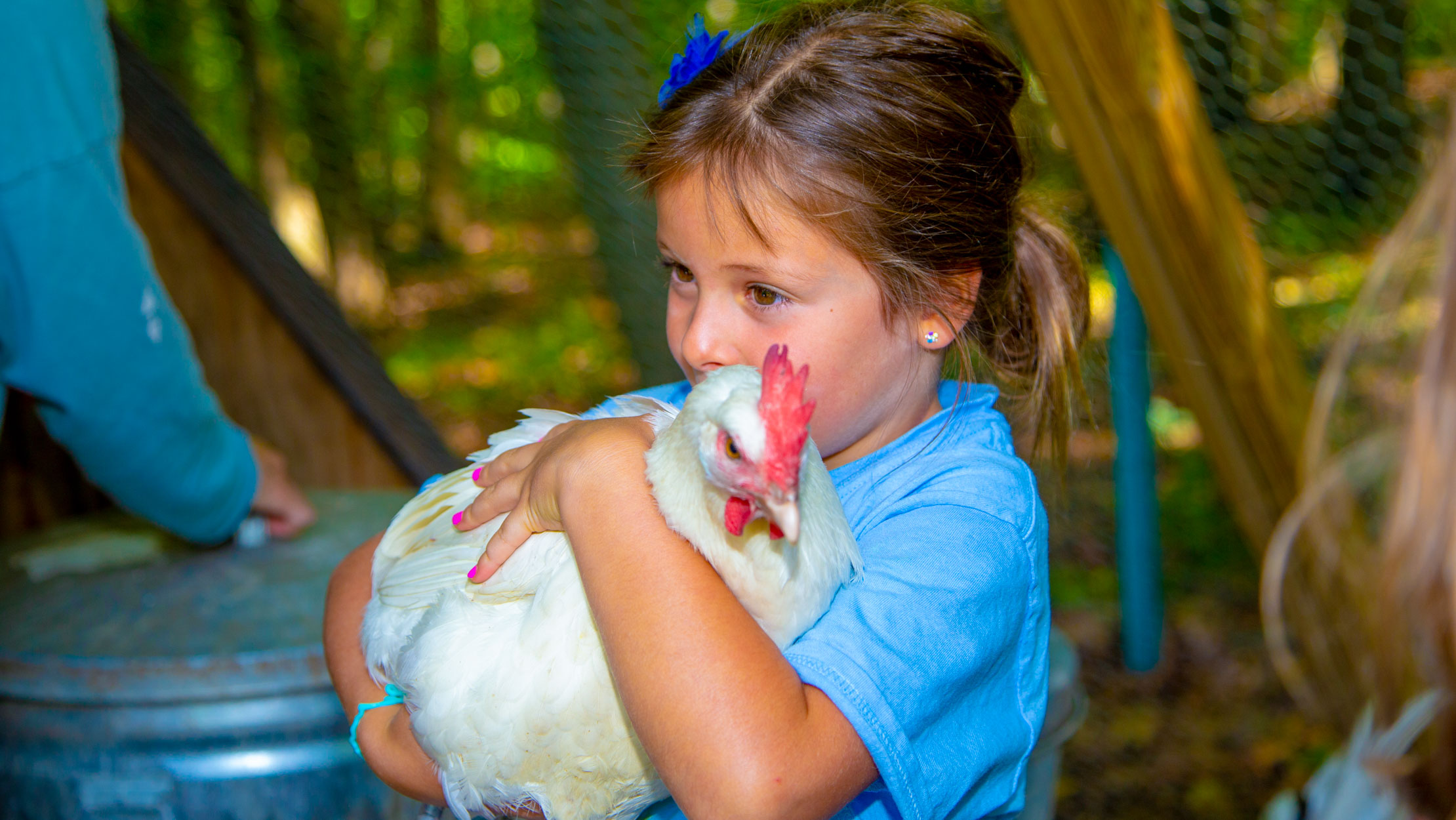 Young camper holding a chicken
