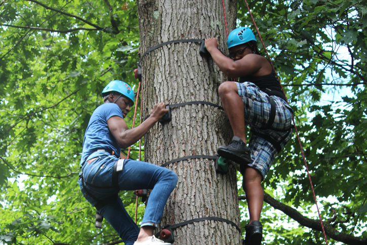 Staff climbing the climbing tree