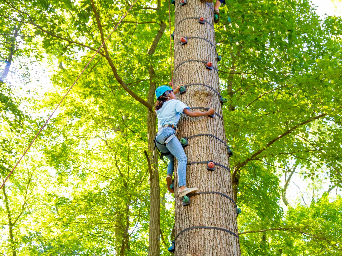Camper climbing the climbing tree