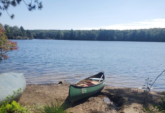 canoeing at cedar pond