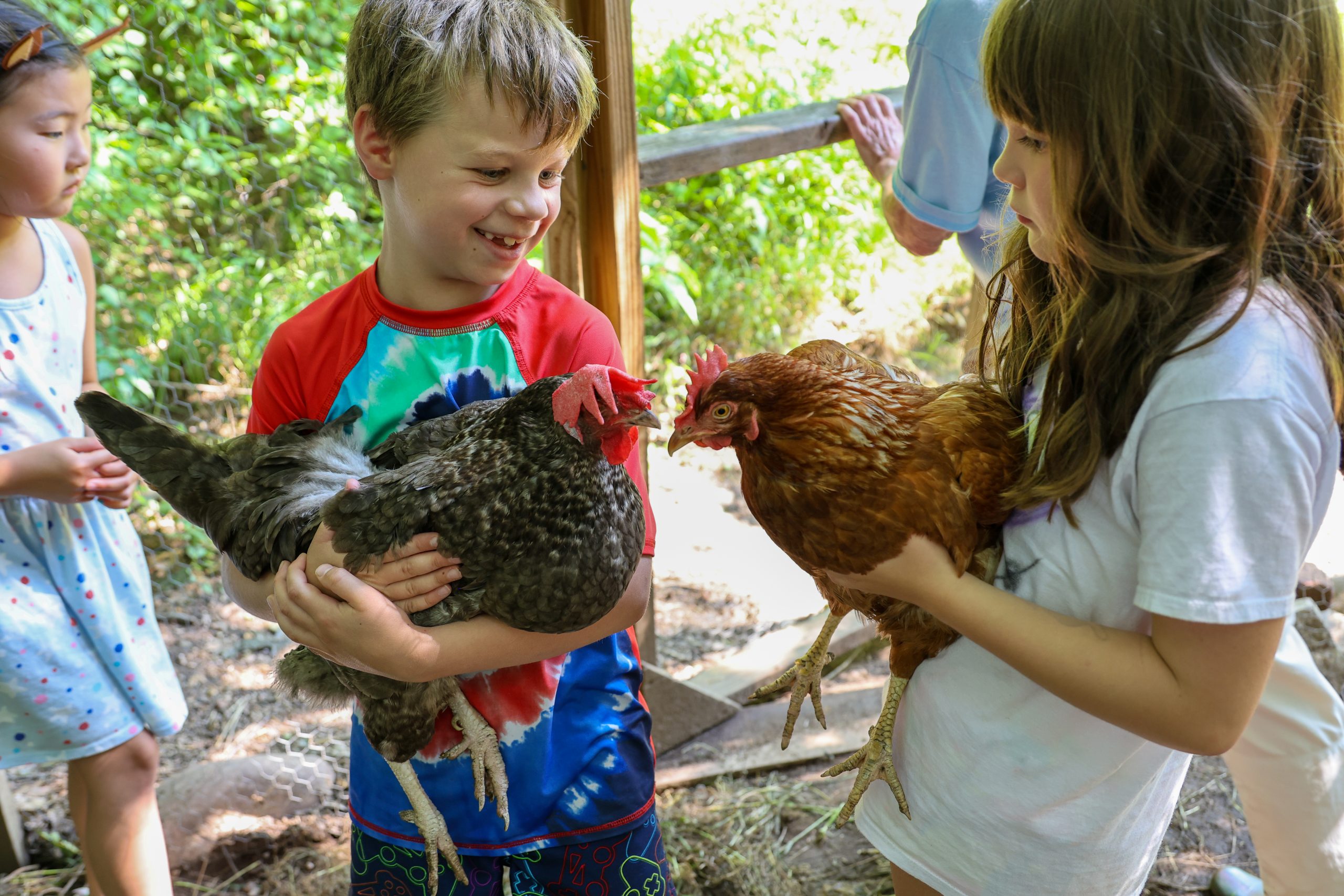 The Nature Place Day Camp campers holding 2 chickens outdoors in a chicken coop