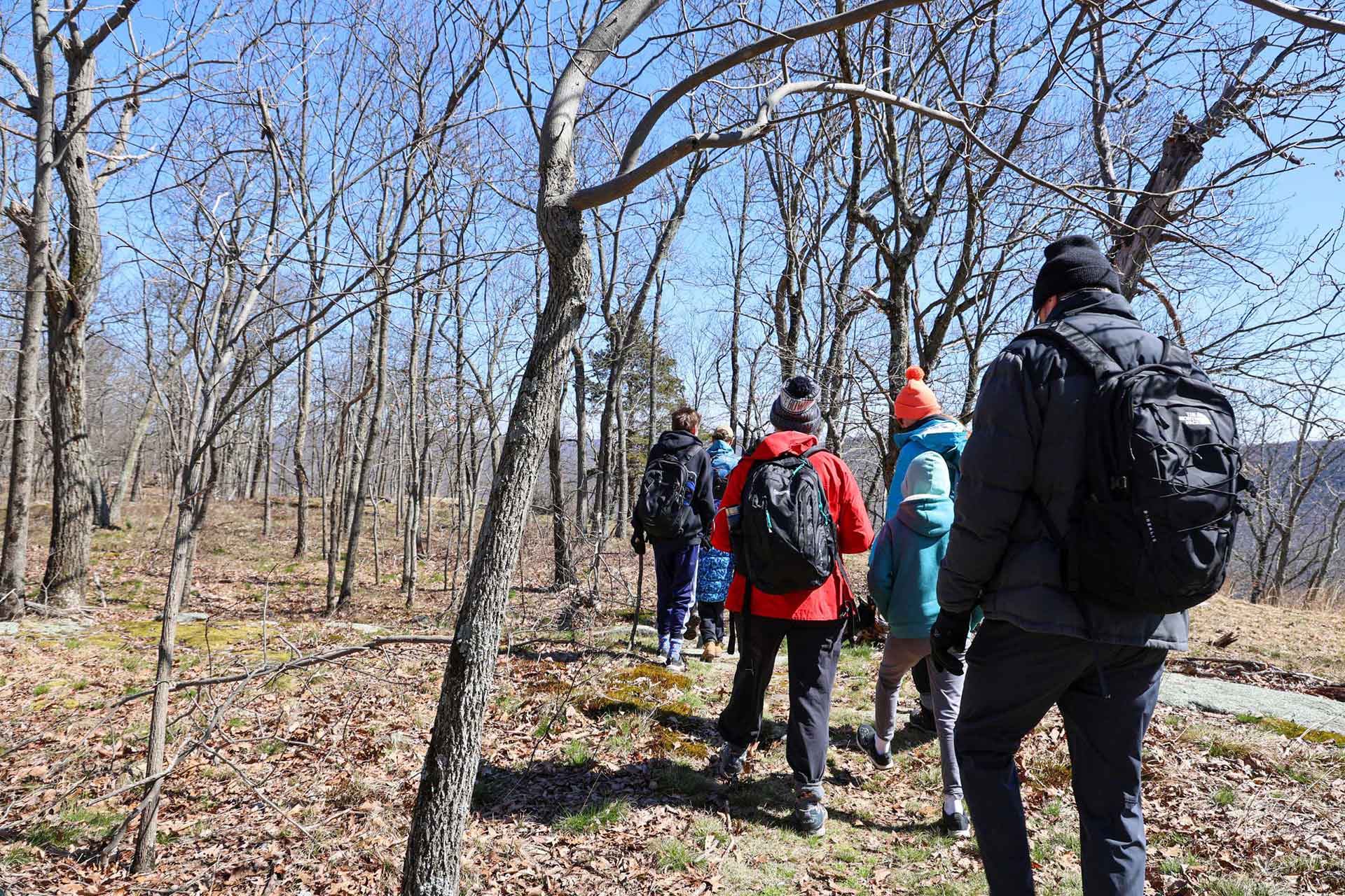 Group hiking in the woods early springtime in New York