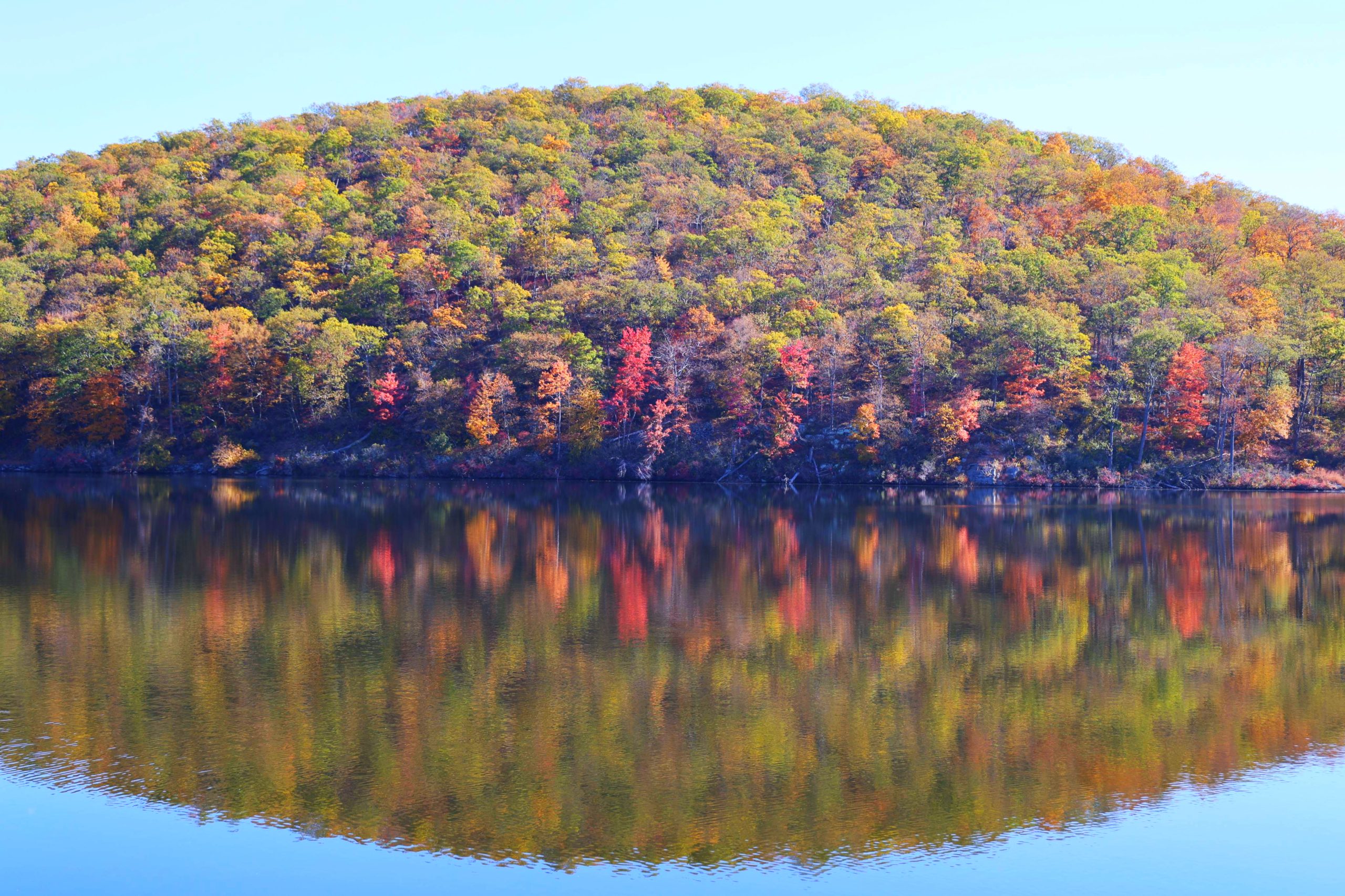 A hill with trees changing color in the fall and the reflection of the hill in the water with bright blue sky